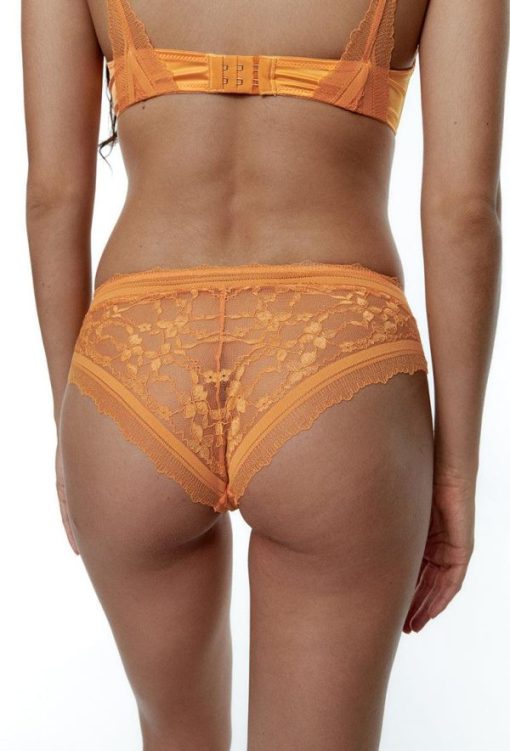 Trendinex.shop3254482dd2 3
