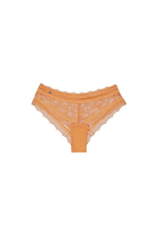 Trendinex.shop3254482dd2 7