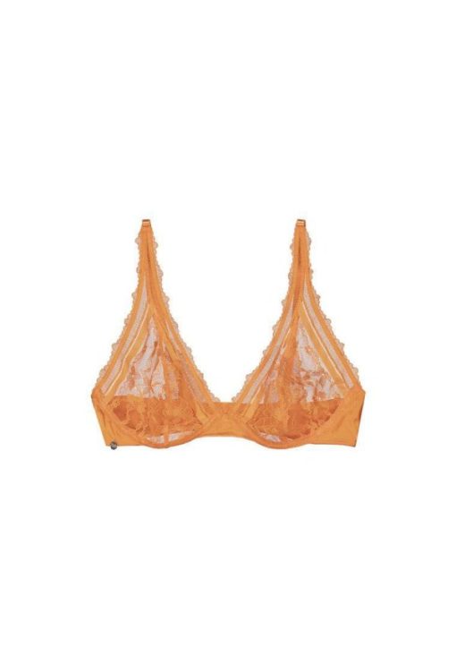 Trendinex.shope40aecd750 2